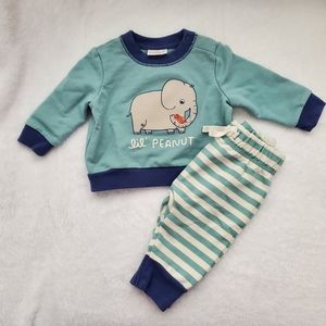 Lil peanut 🥜 Cat & Jack Sweatshirt & Buttoms Set